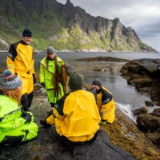 Lofoten Seaweed Harvesting by RIB Boat