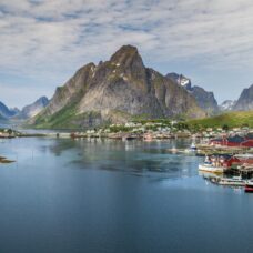 Reinefjorden Evening Cruise